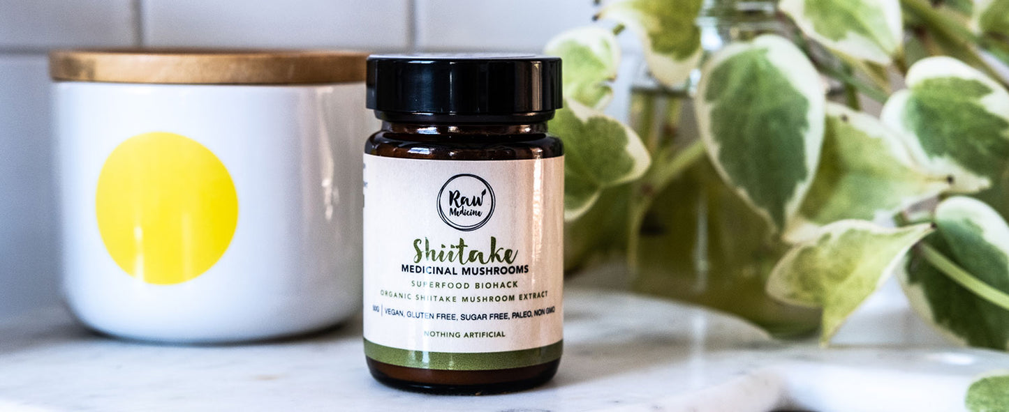 Shiitake Mushroom Extract