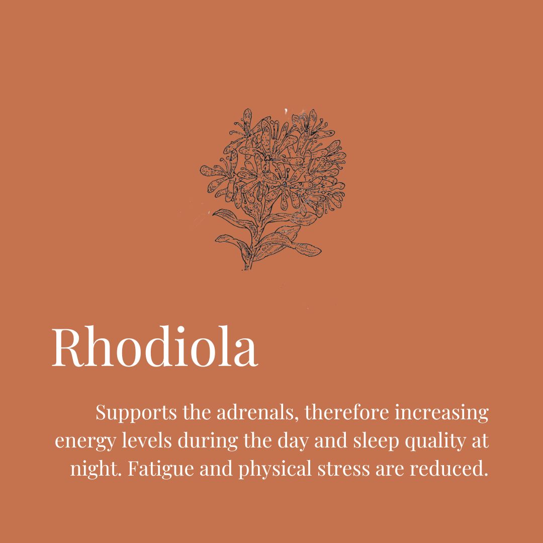 Rhodiola's Resilience