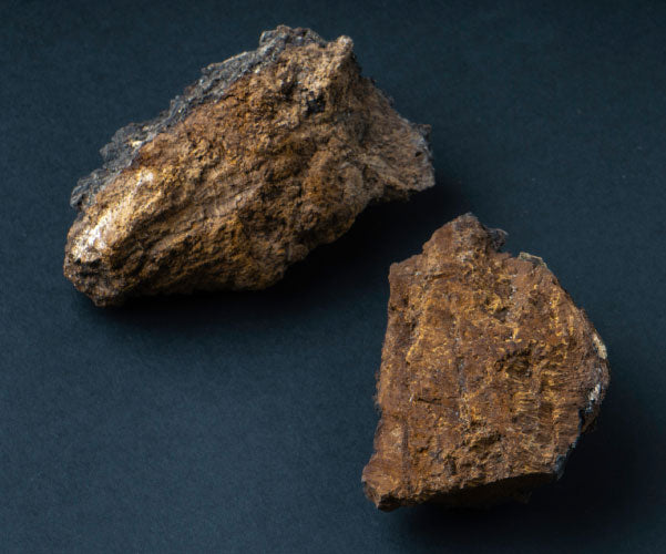 Organic 20:1 Chaga Mushroom Extract - Raw Medicine