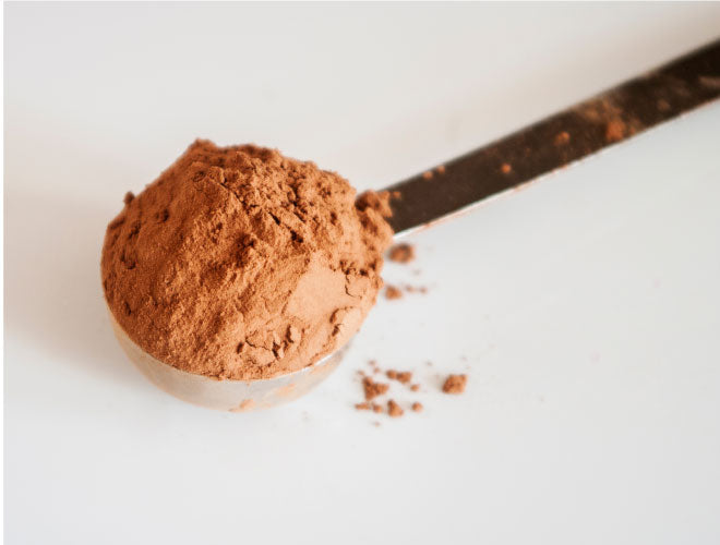 Organic 20:1 Shiitake Mushroom Extract - Raw Medicine