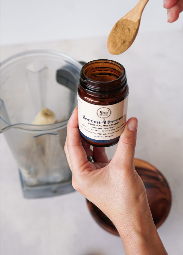 The Power of Medicinal Mushrooms 