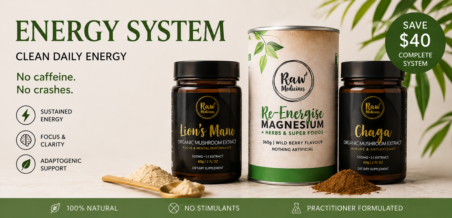 Energy System Bundle - lions mane, magnesium and chaga