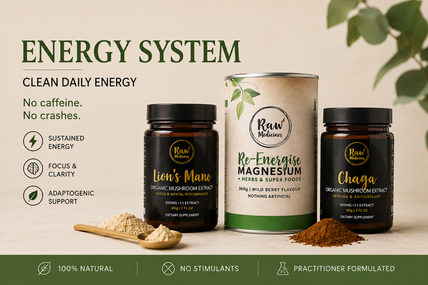 Energy System - Lion's Mane, Re-Energise Magnesium and Chaga for clean daily energy