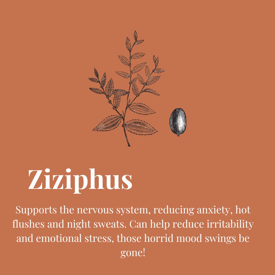 Zizyphus's Calm Embrace